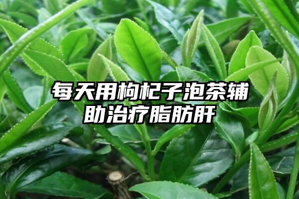 每天用枸杞子泡茶辅助治疗脂肪肝