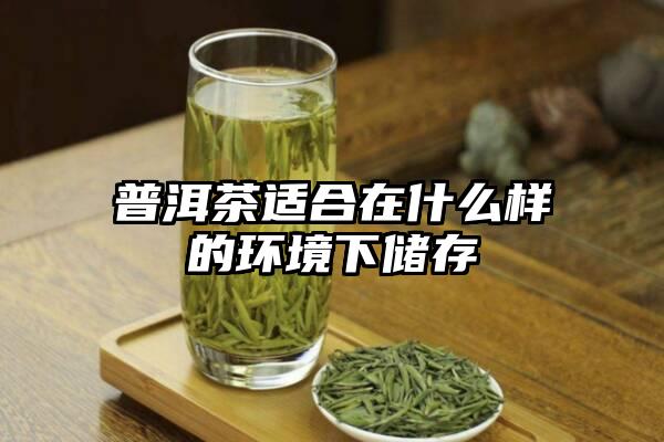 普洱茶适合在什么样的环境下储存