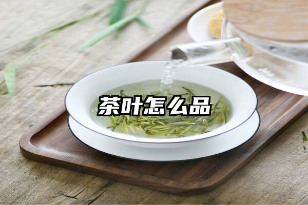 茶叶怎么品