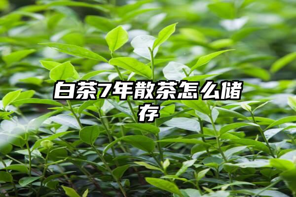 白茶7年散茶怎么储存