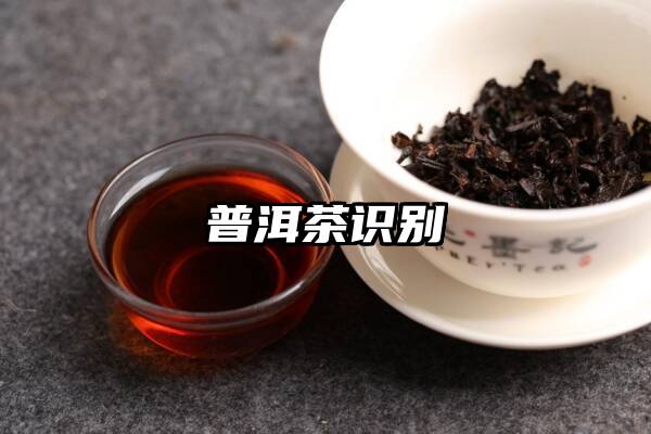 普洱茶识别