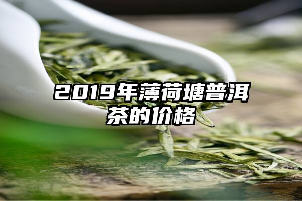 2019年薄荷塘普洱茶的价格