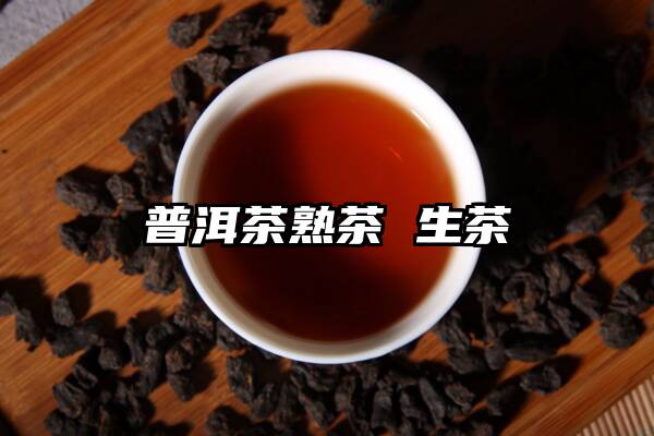 普洱茶熟茶 生茶