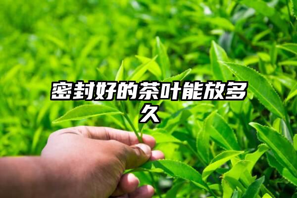 密封好的茶叶能放多久