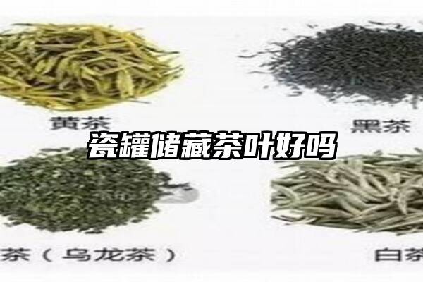 瓷罐储藏茶叶好吗