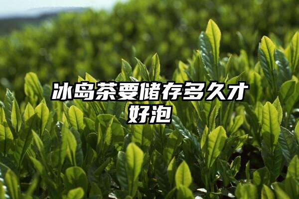 冰岛茶要储存多久才好泡