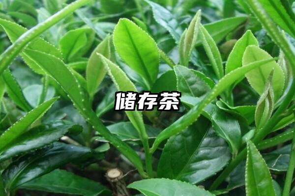 储存茶