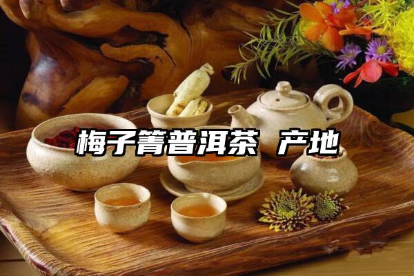 梅子箐普洱茶 产地