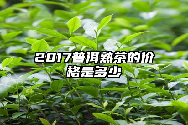 2017普洱熟茶的价格是多少