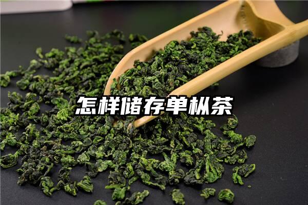 怎样储存单枞茶