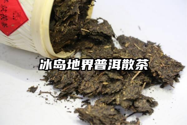 冰岛地界普洱散茶