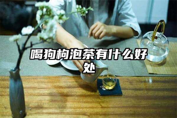 喝狗枸泡茶有什么好处