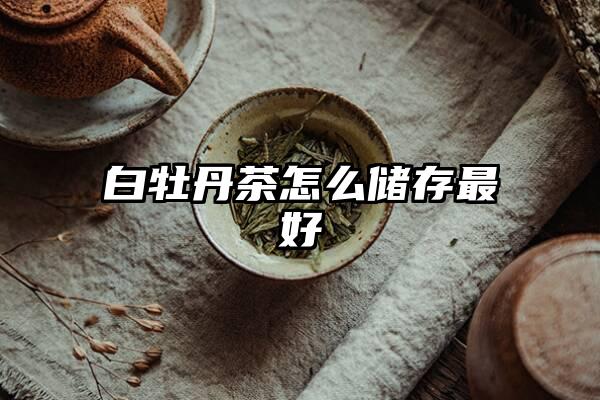 白牡丹茶怎么储存最好