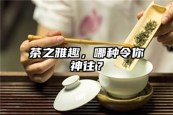 茶之雅趣，哪种令你神往？