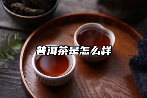 普洱茶是怎么样