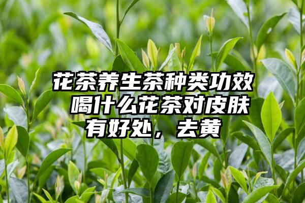 花茶养生茶种类功效 喝什么花茶对皮肤有好处，去黄