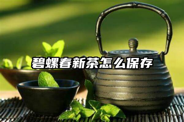 碧螺春新茶怎么保存