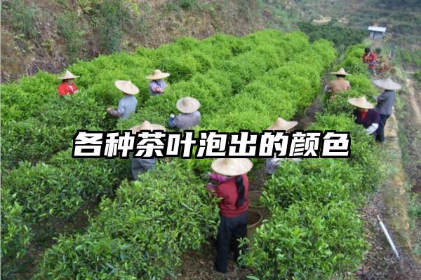 各种茶叶泡出的颜色