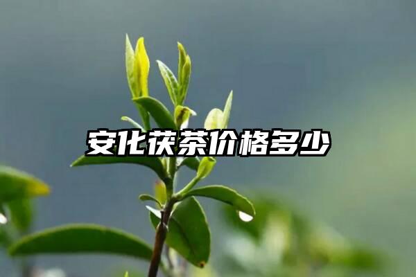 安化茯茶价格多少