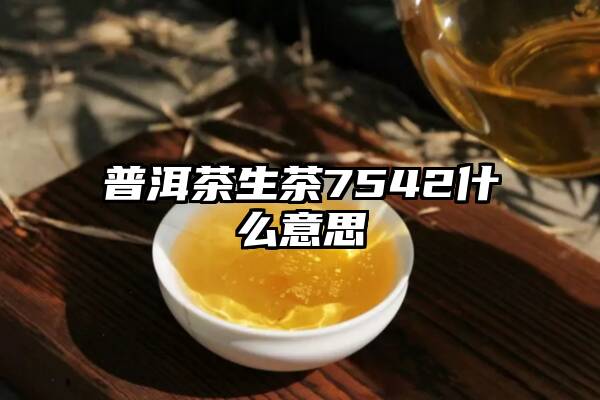 普洱茶生茶7542什么意思