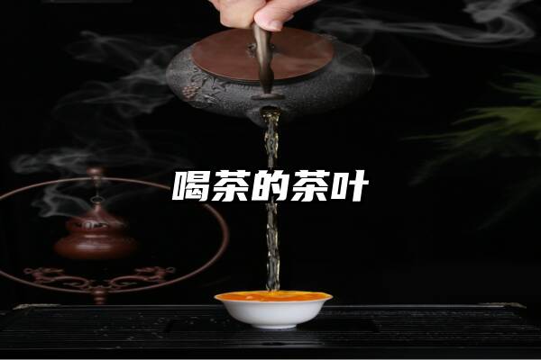 喝茶的茶叶