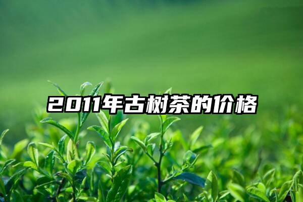 2011年古树茶的价格