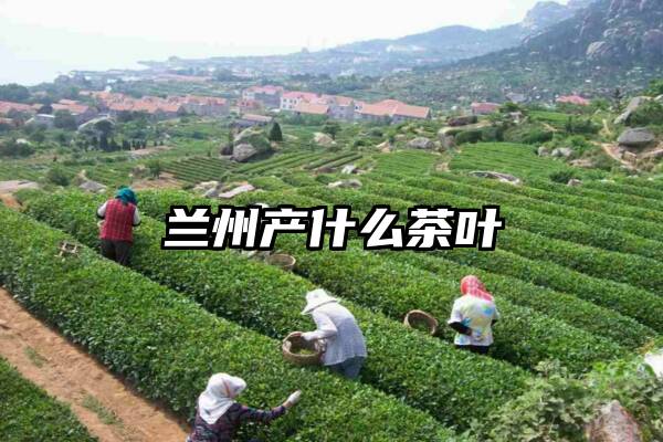 兰州产什么茶叶