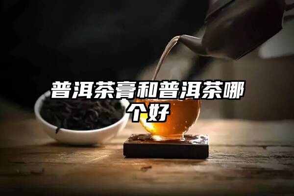 普洱茶膏和普洱茶哪个好