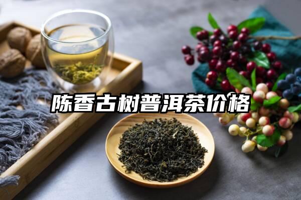 陈香古树普洱茶价格