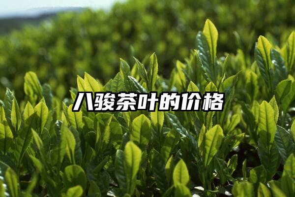 八骏茶叶的价格