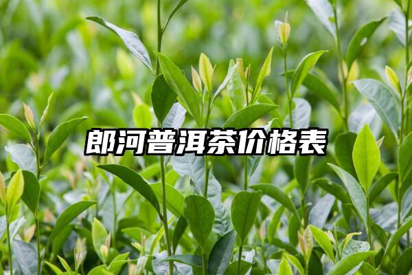 郎河普洱茶价格表