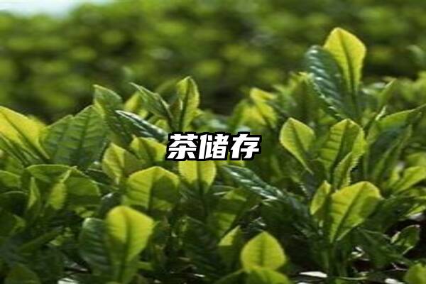 茶储存