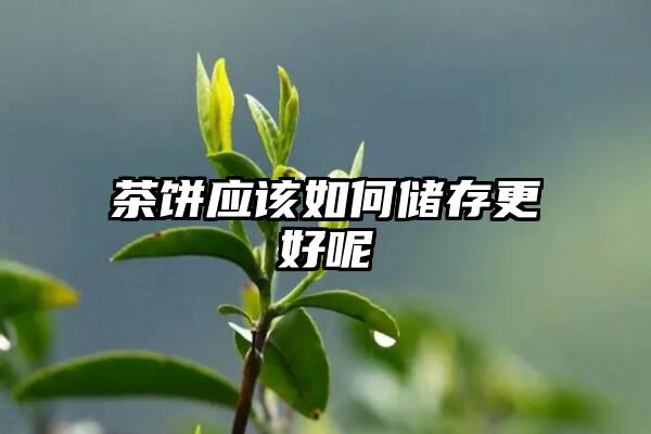 茶饼应该如何储存更好呢