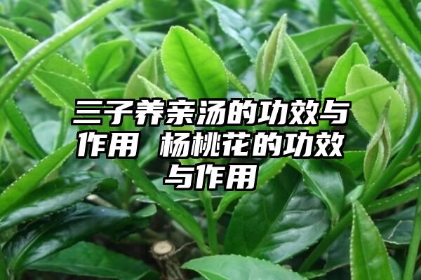 三子养亲汤的功效与作用 杨桃花的功效与作用