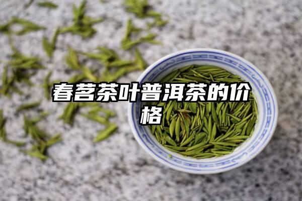 春茗茶叶普洱茶的价格