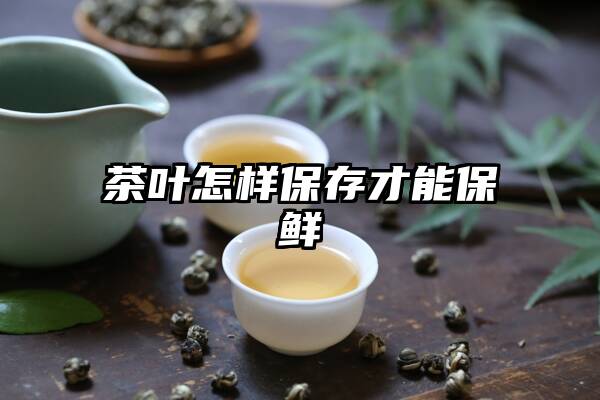 茶叶怎样保存才能保鲜