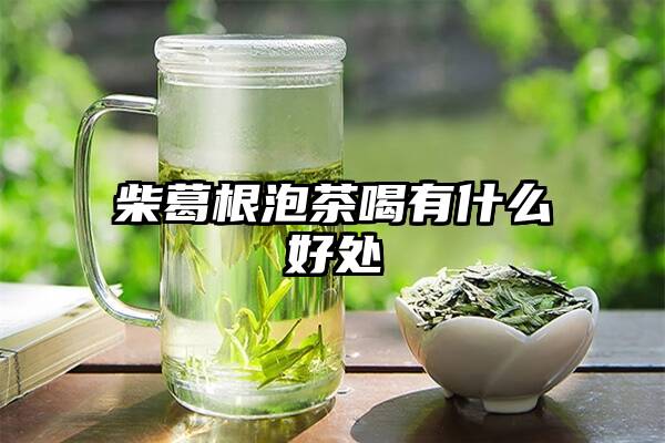 柴葛根泡茶喝有什么好处