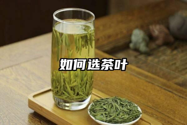 如何选茶叶