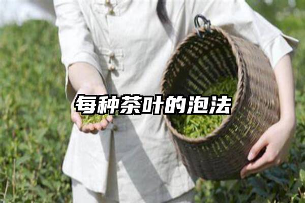 每种茶叶的泡法