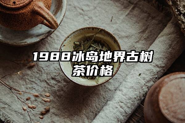 1988冰岛地界古树茶价格