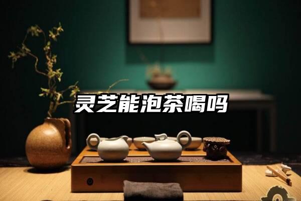 灵芝能泡茶喝吗