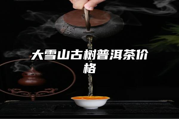 大雪山古树普洱茶价格