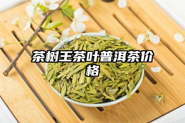 茶树王茶叶普洱茶价格