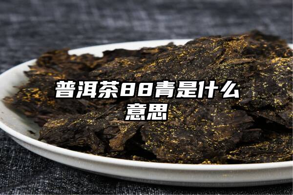 普洱茶88青是什么意思