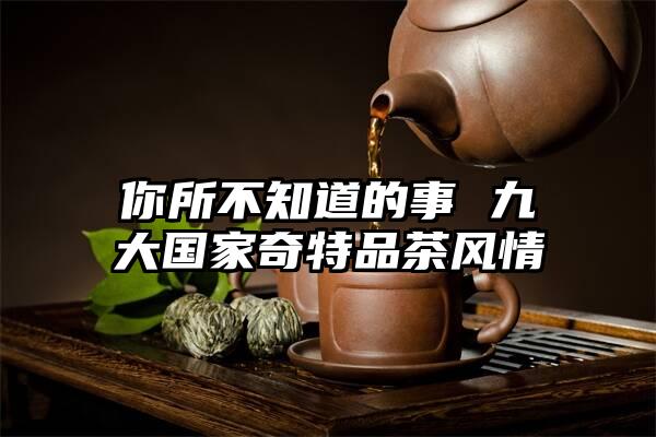 你所不知道的事 九大国家奇特品茶风情