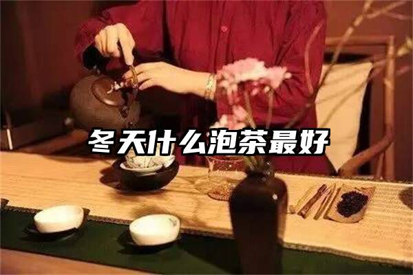 冬天什么泡茶最好