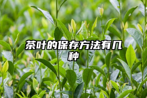 茶叶的保存方法有几种