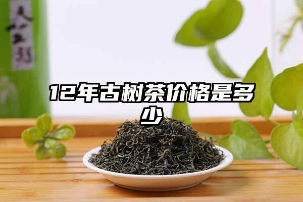 12年古树茶价格是多少