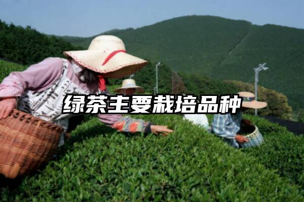 绿茶主要栽培品种