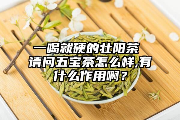 一喝就硬的壮阳茶 请问五宝茶怎么样,有什么作用啊？